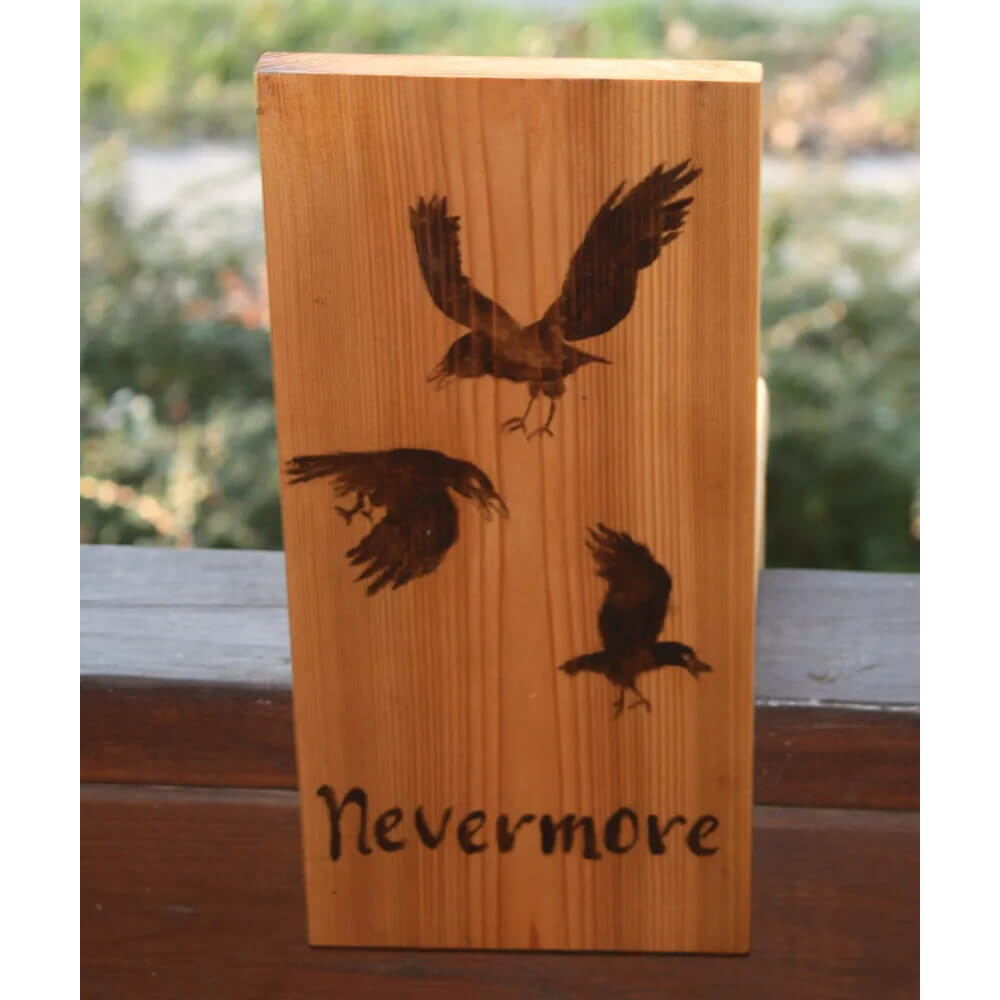 back of raven rail light