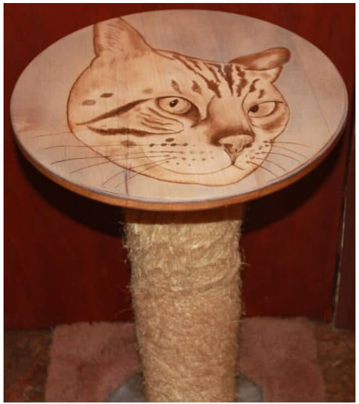 Pet art on wood round
