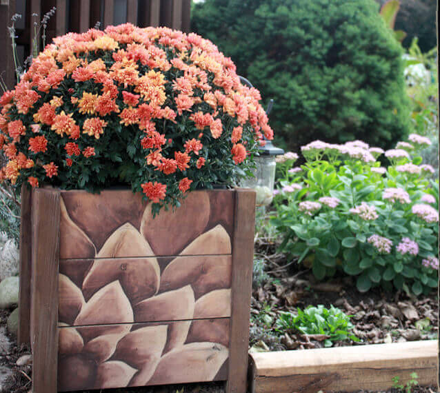 flowers planter